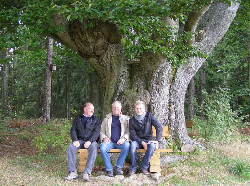 Baumtrio.JPG - Drei Schalob-Wanderer unter einer 300 Jahre alten Buche.