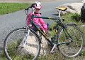 Fahrrad_2014_02